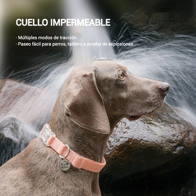 Serie impermeable Collar para perro arnés con correa longitud ajustable Collar duradero perros pequeños perros medianos perros grandes Shiba Inu - imagen 4