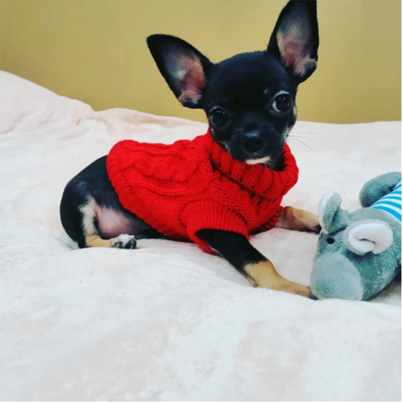 Suéter cálido para perro y gato, ropa para perros pequeños, medianos y grandes, abrigo suave, trajes de punto para Chihuahua, Bulldog, ropa para cachorros - imagen 4