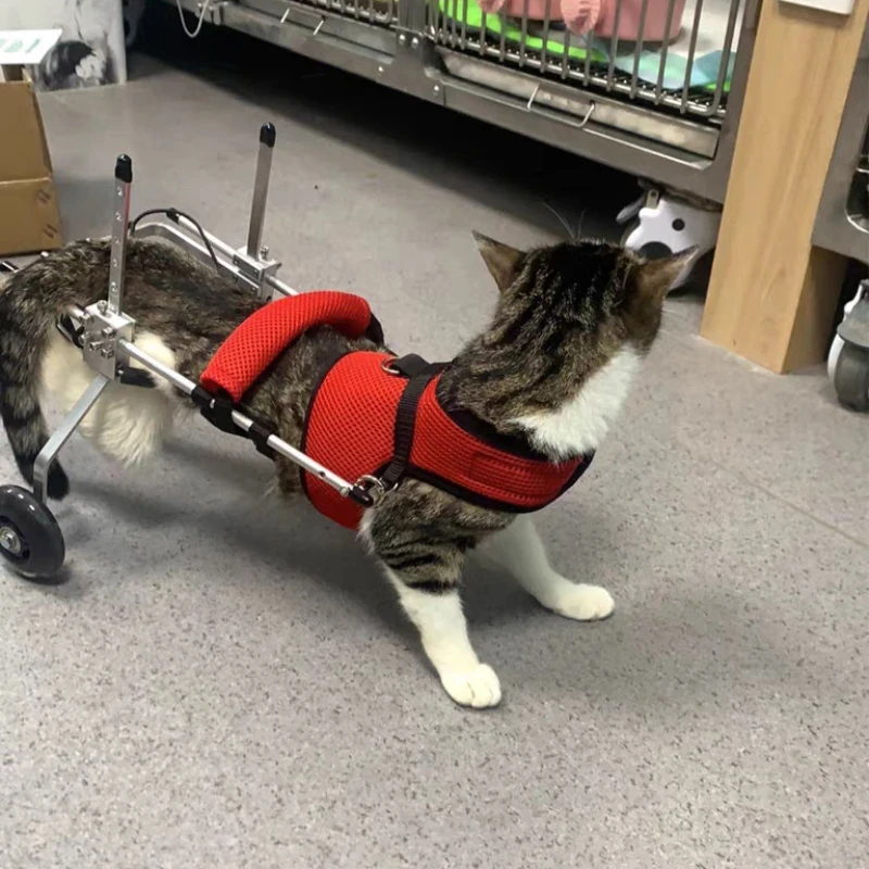 Silla de ruedas para perros y gatos con parálisis – soporte trasero - imagen 2