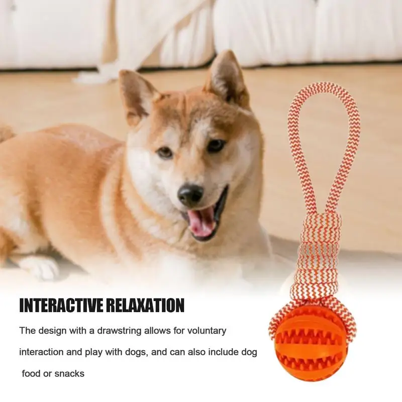 Tug Of War-pelota de Juguete para perro, cuerda interactiva para entrenamiento de perros, ejercicio, masticar, juguete de entrenamiento - imagen 4