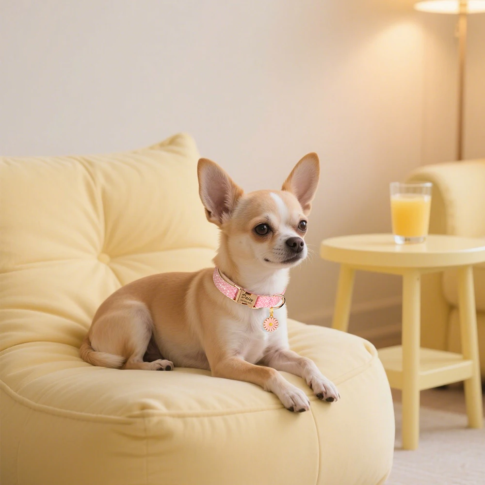 Collar de perro personalizado, collares de nailon personalizados para mascotas, accesorios de flores, Collar de identificación ajustable para cachorros y gatos, nombre grabado gratis para perros - imagen 5