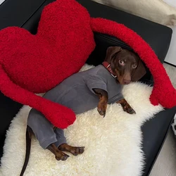 Suéter térmico Dachshund — abrigo de lana para perro mini
