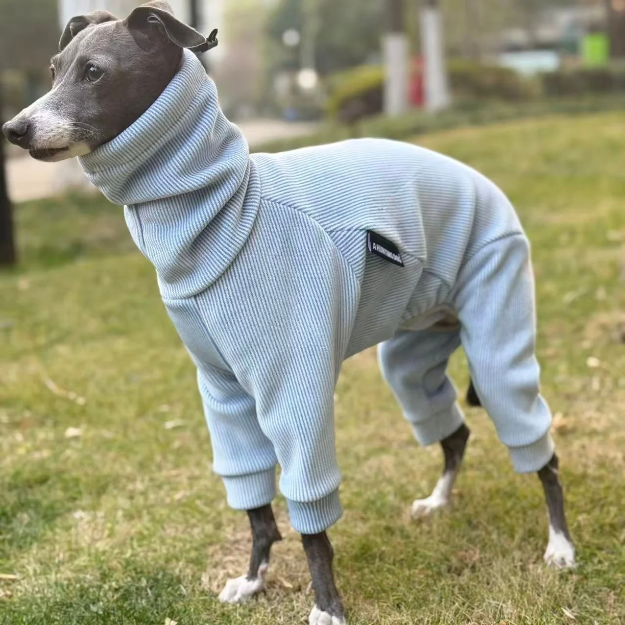 Chaleco de forro polar para perros - Mono cálido para Galgo Italiano - imagen 4