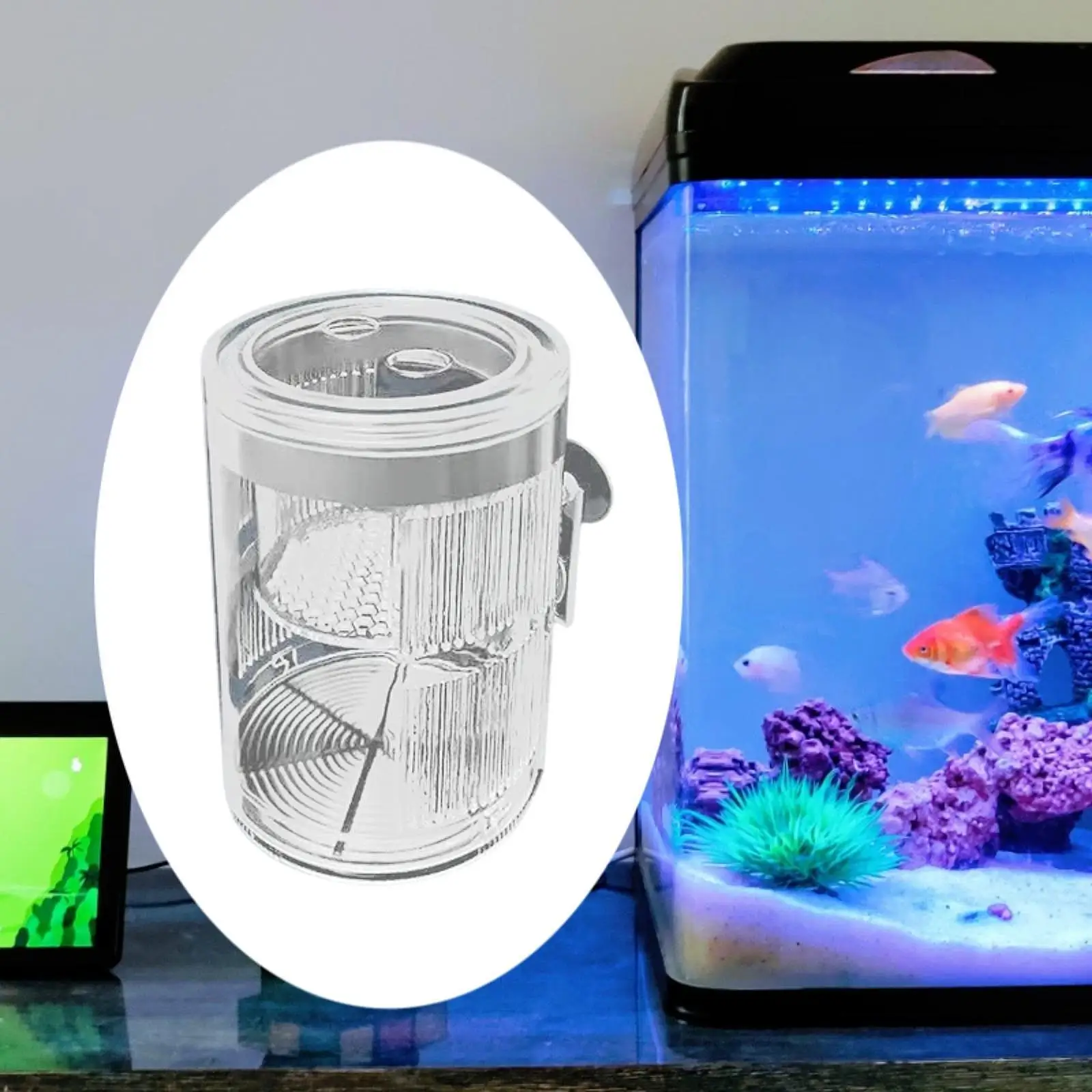 Caja de cría de peces, incubadora de pecera transparente para peces de bebé Betta Guppy - imagen 2