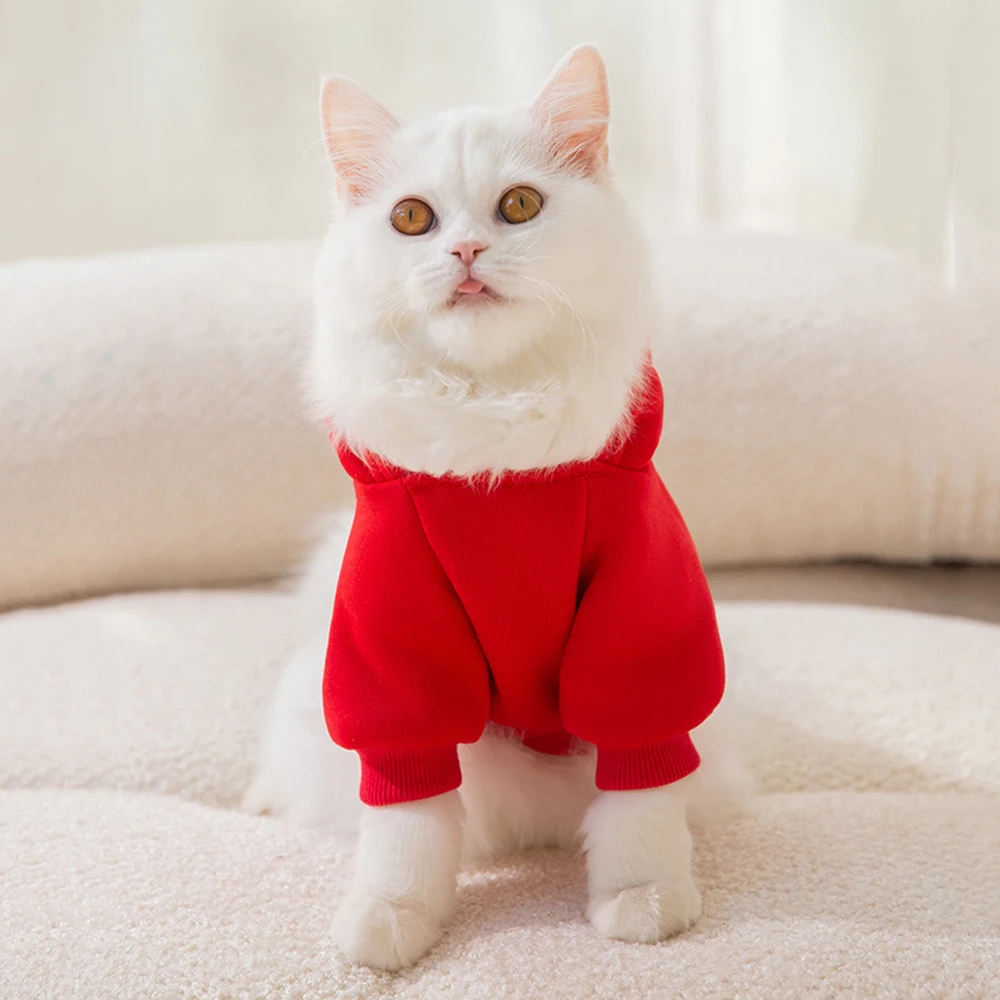 Sphynx-Sudadera con capucha y estampado de frutas para gato, ropa cálida de otoño e invierno para mascotas, disfraz de gato, Garfield, Katten - imagen 5