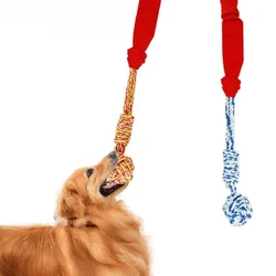 Juguete dental y rope para perros – Pelota interactiva