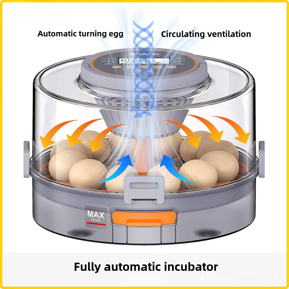 Incubadora inteligente de huevos de temperatura constante, incubadora automática de pollos, patos y gansos pequeños, productos para mascotas, suministro de animales de granja