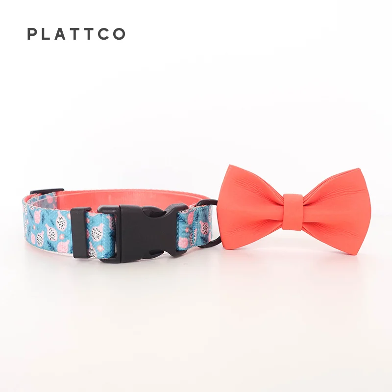PLATTCO color de PITAYA TEASE desgarrado rápidamente perro pajarita collar correa conjunto teddy bichon pequeño 5 tamaños PDC323 - imagen 3