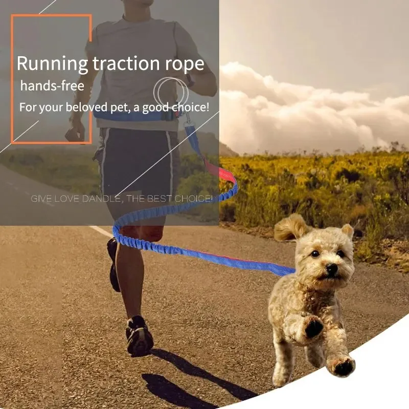 Correa multifuncional para perros, correa elástica para mascotas con punzón a prueba de explosiones para correr y caminar al aire libre - imagen 2