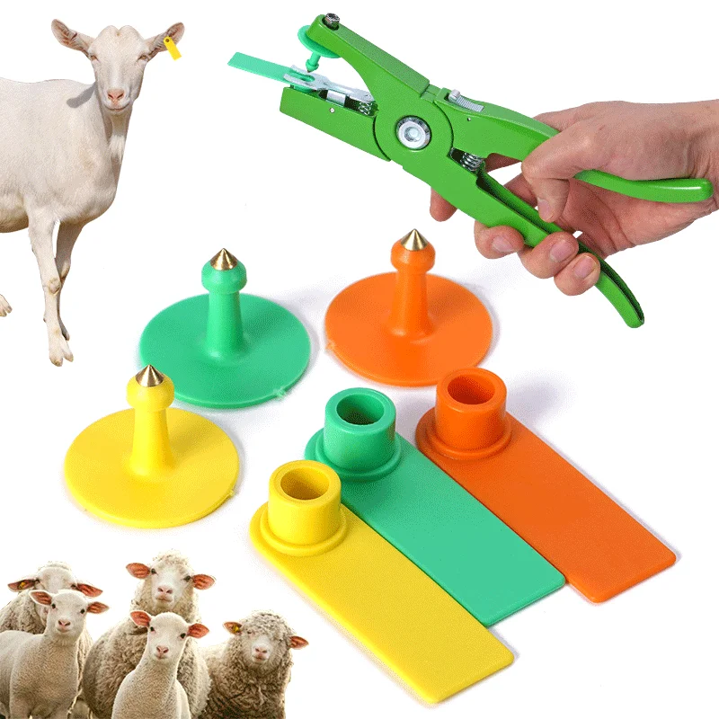 Etiquetas para las orejas de cabra y oveja sin número, pendientes con cabeza de cobre para escribir láser, etiqueta para la oreja de identificación de animales de granja, 100 Uds.