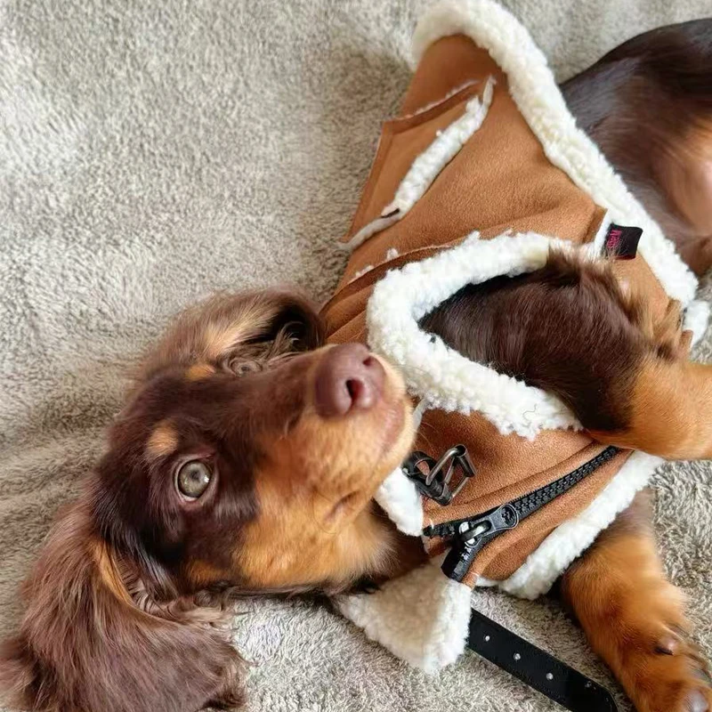 Chaleco de invierno con piel para perros salchicha, chaleco grueso y cálido, ropa para perros salchicha a la moda, abrigo marrón para perros pequeños y medianos - imagen 4
