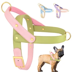 Arnés de cuero para perro – Control sin tirones para paseo