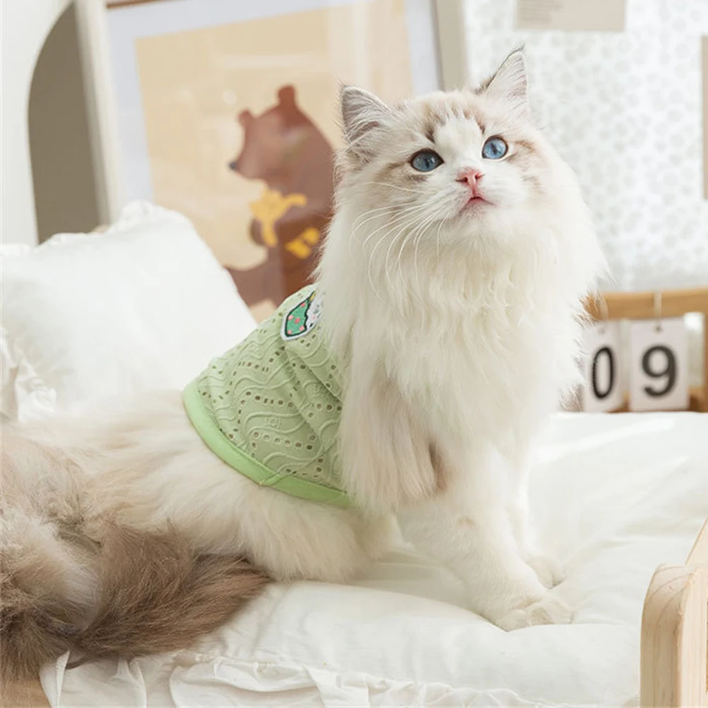 Ropa de malla transpirable para gatos Sphynx, camisola de verano para mascotas, chaleco para gatos, Gotas, gatitos, Garfield, camisas para perros, ropa para mascotas - imagen 4