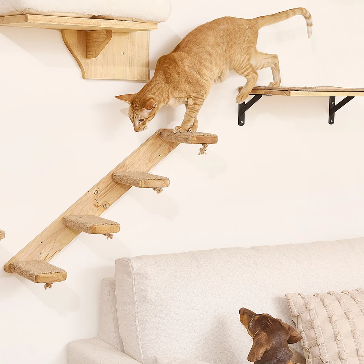 Hamaca de pared para gatos – descanso cómodo en altura - imagen 4