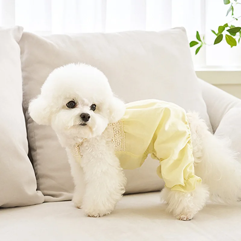 Camiseta sin mangas para mascotas, mono transpirable de dos piernas para perros y gatos, oso de peluche, ropa para perros, sombrero de encaje, ropa para cachorros, primavera/verano - imagen 3