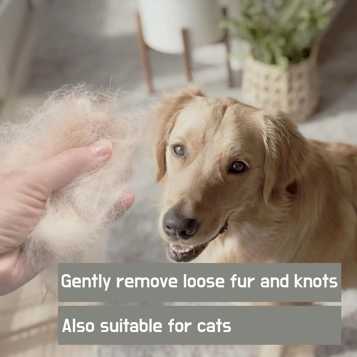 Diseño compacto y portátil