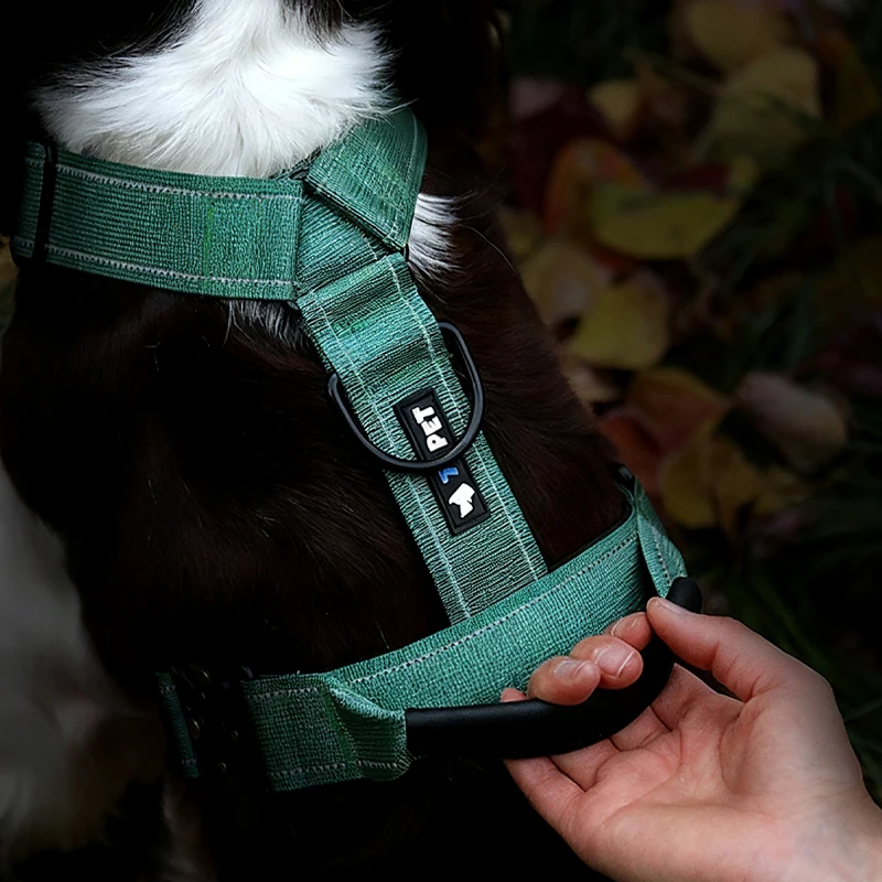 Arnés antitirones en Y acolchado para perros – Ajustable con asa - imagen 2