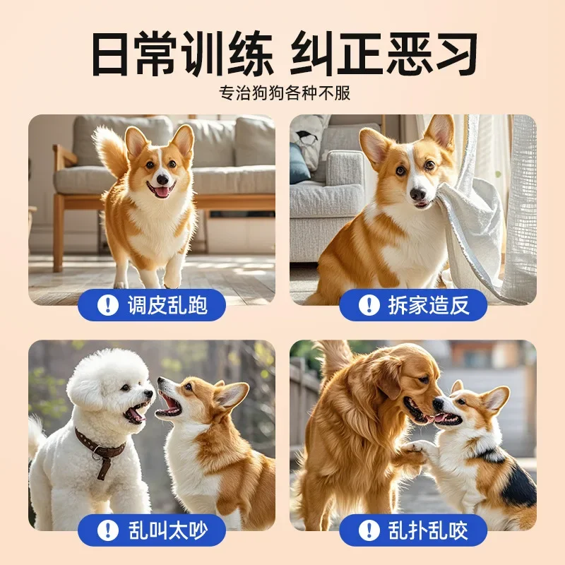 Palo para perros Pet Love Pat, látigo de cuero para entrenamiento de perros, suministros de entrenamiento para mascotas y gatos - imagen 2