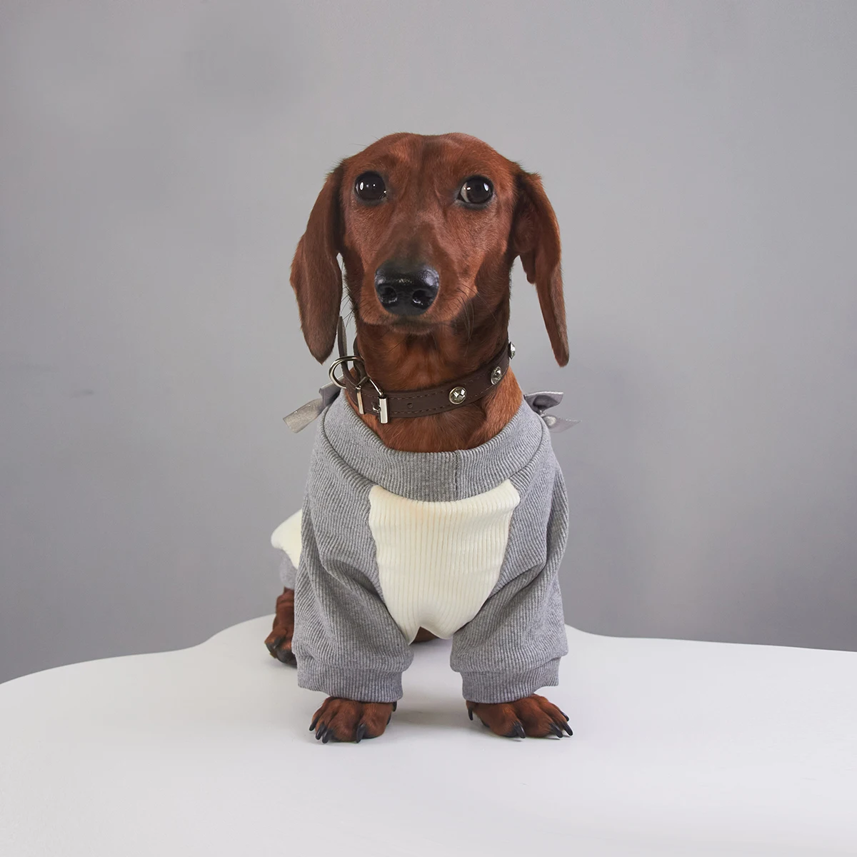 Pijama rosa cálido para perro salchicha – Otoño invierno primavera - imagen 2