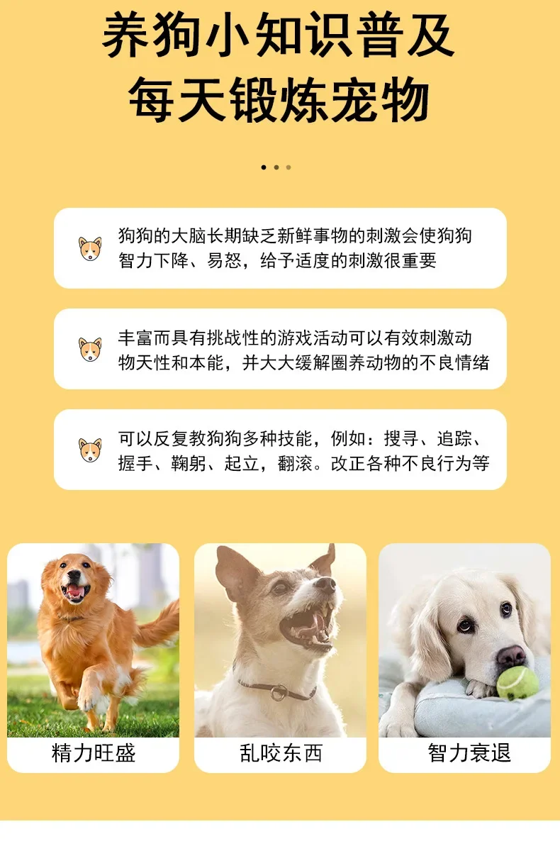 Uso del clicker en adiestramiento de perros