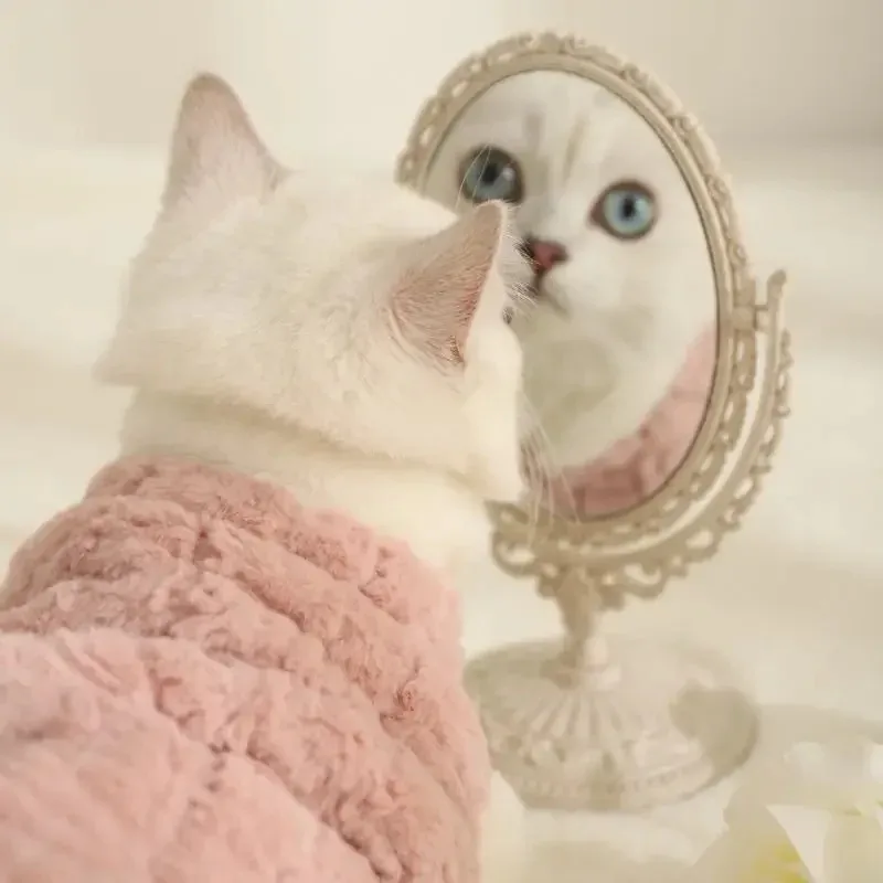 Suéter para gatos, abrigo para cachorros, ropa gruesa y cálida para mascotas, trajes de invierno para gatos, chaqueta de invierno para perros pequeños, ropa para gatos, accesorios para mascotas - imagen 5