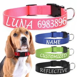 Collar identificativo personalizado para perro – Nombre y teléfono