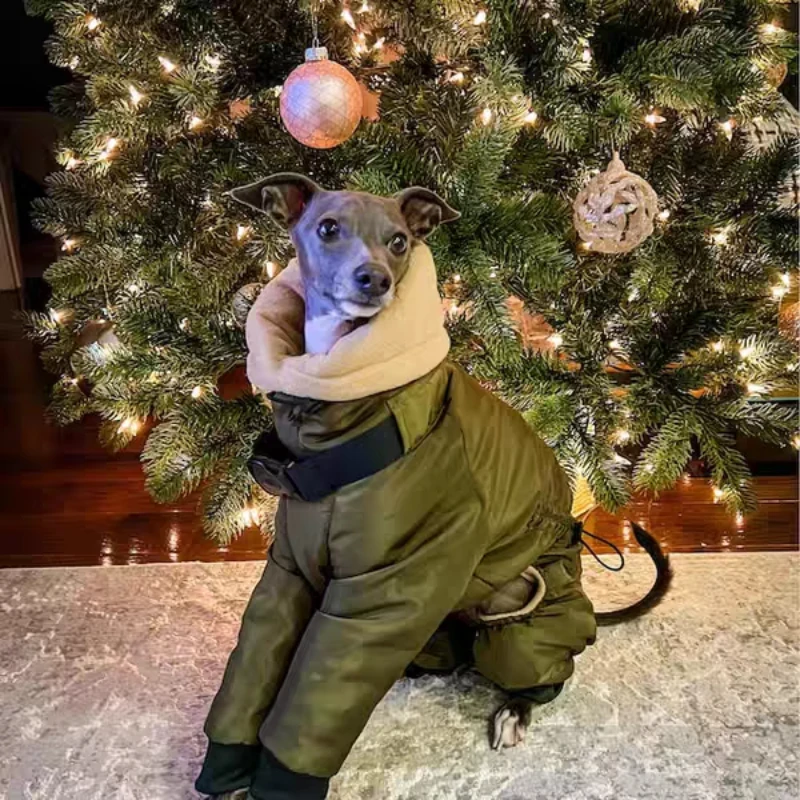 Ropa de invierno para perros, ropa cálida a prueba de viento para perros, abrigo grande para perros, monos, accesorios, mono, producto de galgo para perros flacos - imagen 3