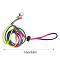 colored leash