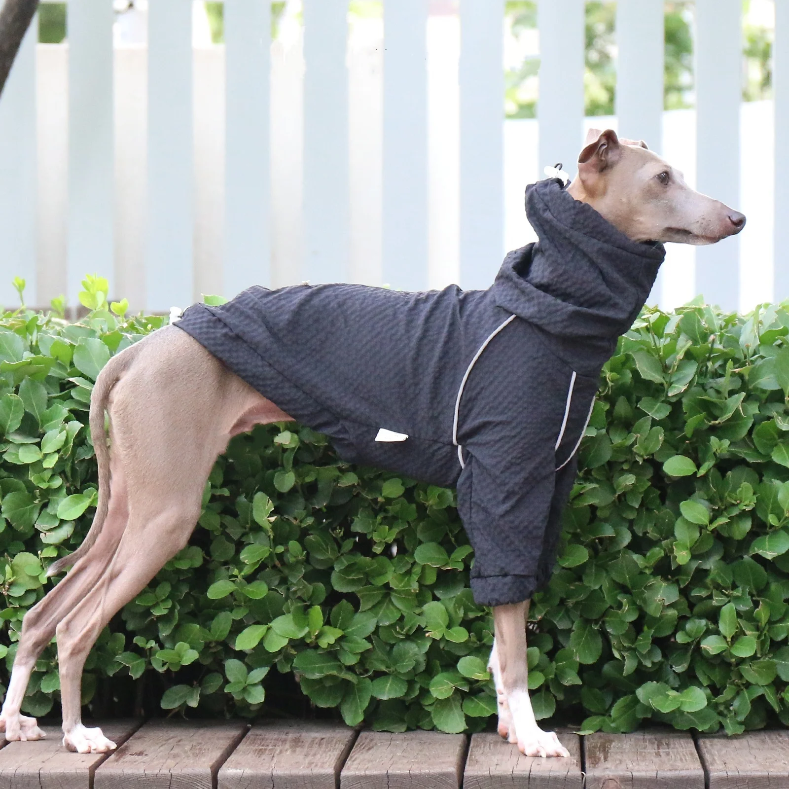 Traje negro de secado rápido para perros mediados, chaqueta transpirable, protector solar a prueba de lluvia, cuello alto, abrigo azul ajustable para galgo italiano