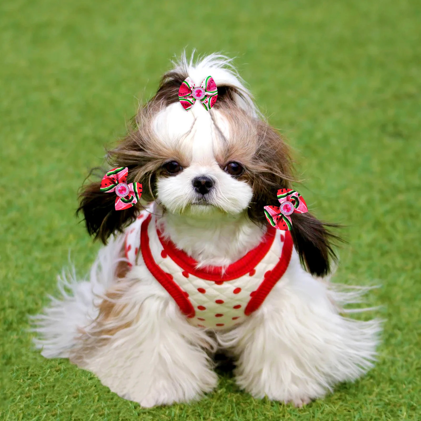 Lazos para el pelo de perros con diamantes – San Valentín - imagen 4