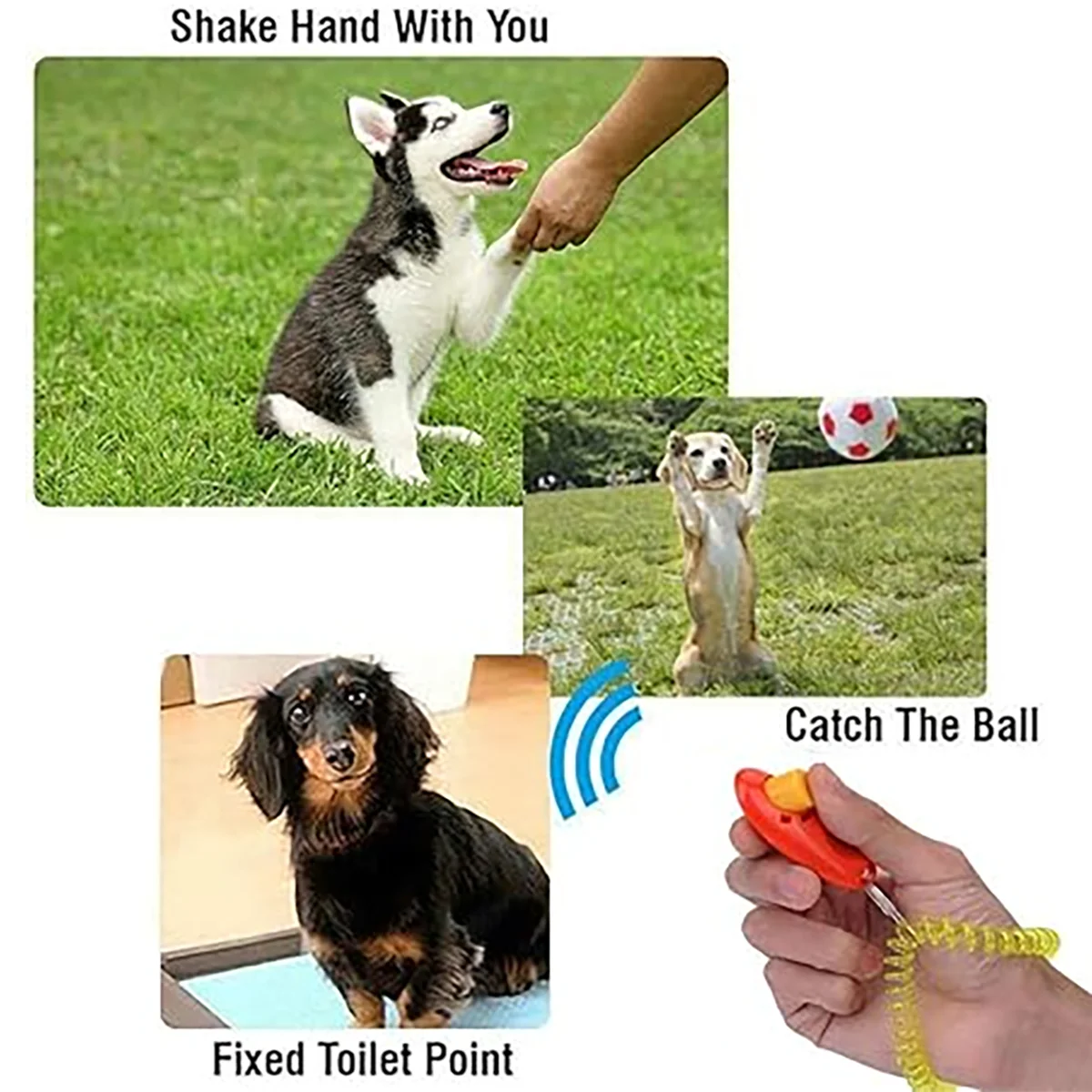 Clicker adiestramiento canino con correa – Entrena a tu perro - imagen 3