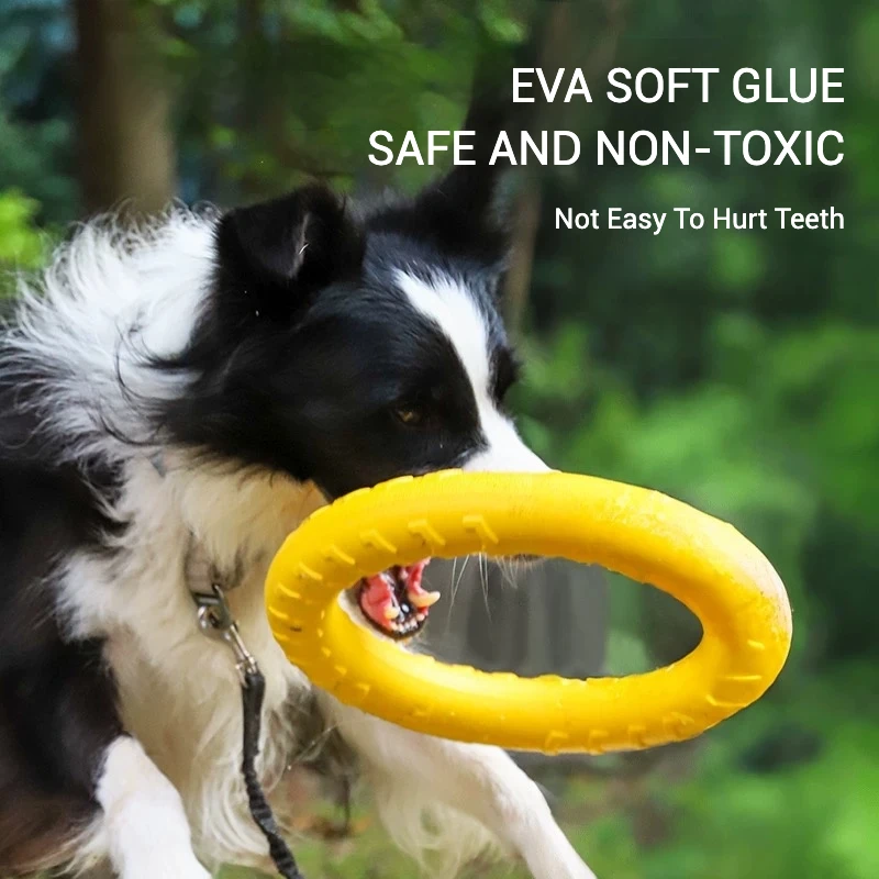 Juguete flotante y masticable de EVA para perros, juguete de entrenamiento interactivo duradero para higiene Dental, masticar, buscar, suministros flotantes para mascotas - imagen 2