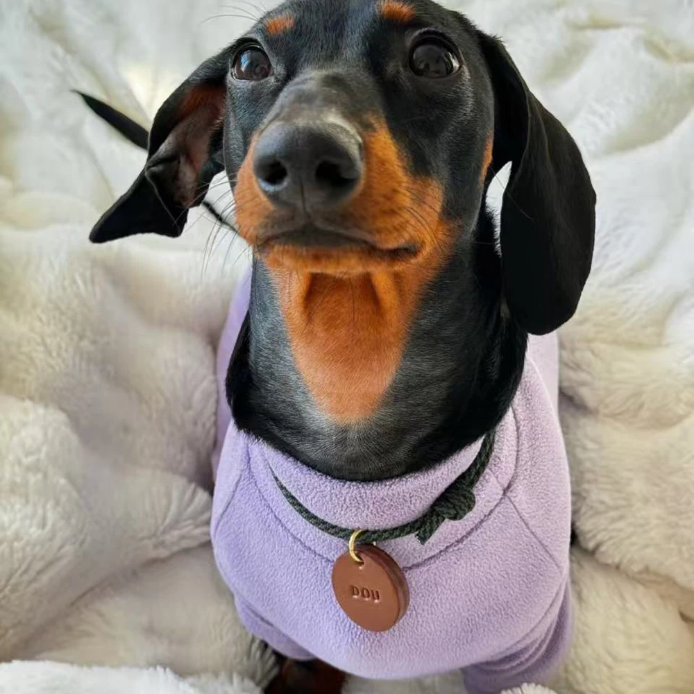 Suéter cálido de manga larga de 4 patas para perro salchicha en miniatura, abrigo de lana gruesa de invierno para perros Wiener, pijamas dulces para perro femenino - imagen 2