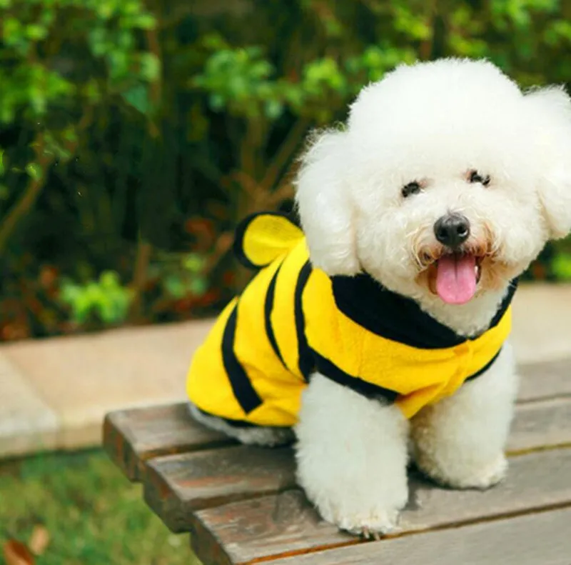 Ropa de estilo de abeja para mascotas, disfraz divertido para perros, alas de abeja, sudaderas con capucha de lana para cachorros, ropa para mascotas pequeñas - imagen 3