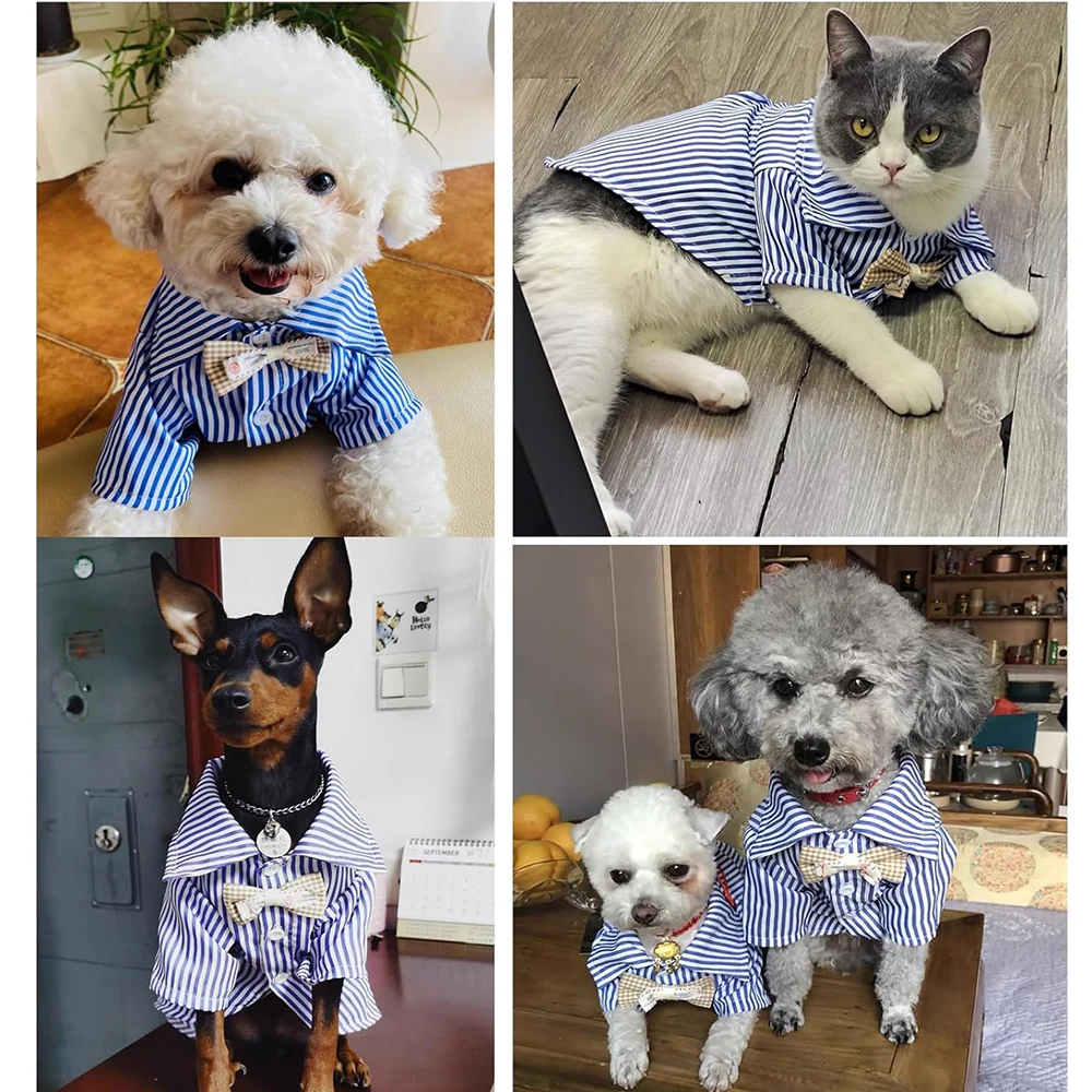Camisa a rayas manga corta con moño para perros pequeños – Primavera - imagen 2
