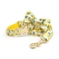 bow collar leash