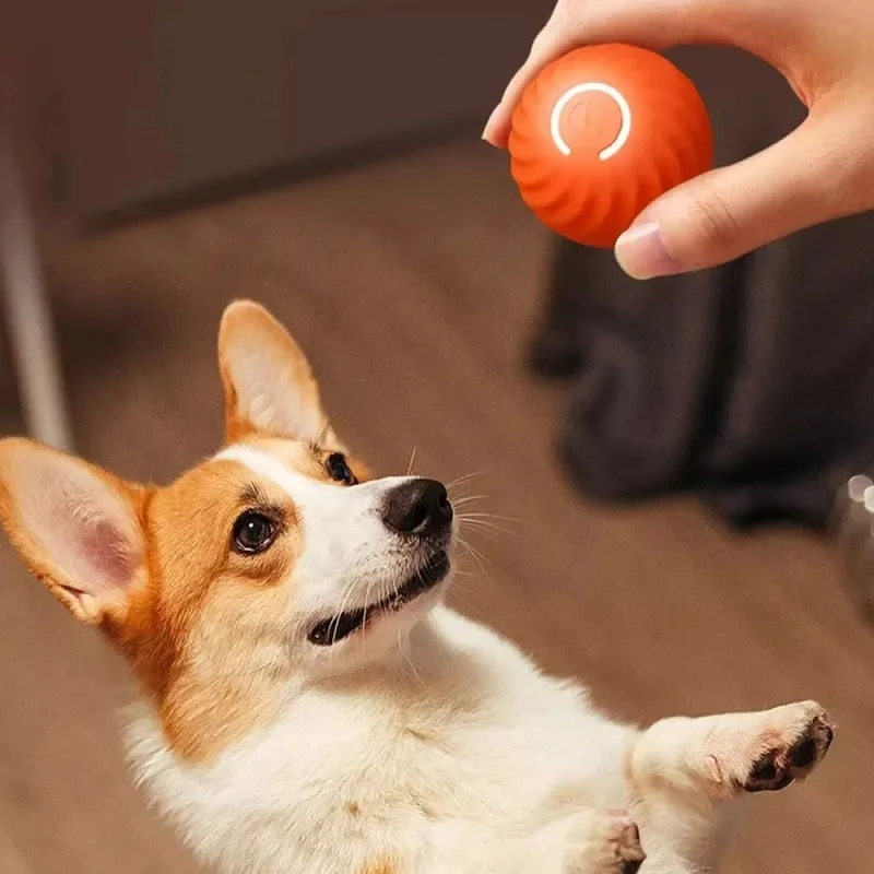 Pelota de juguete para perros, pelota rodante que rebota en movimiento automático, USB, cachorro inteligente, pelota interactiva de juguete para masticar para perros - imagen 5