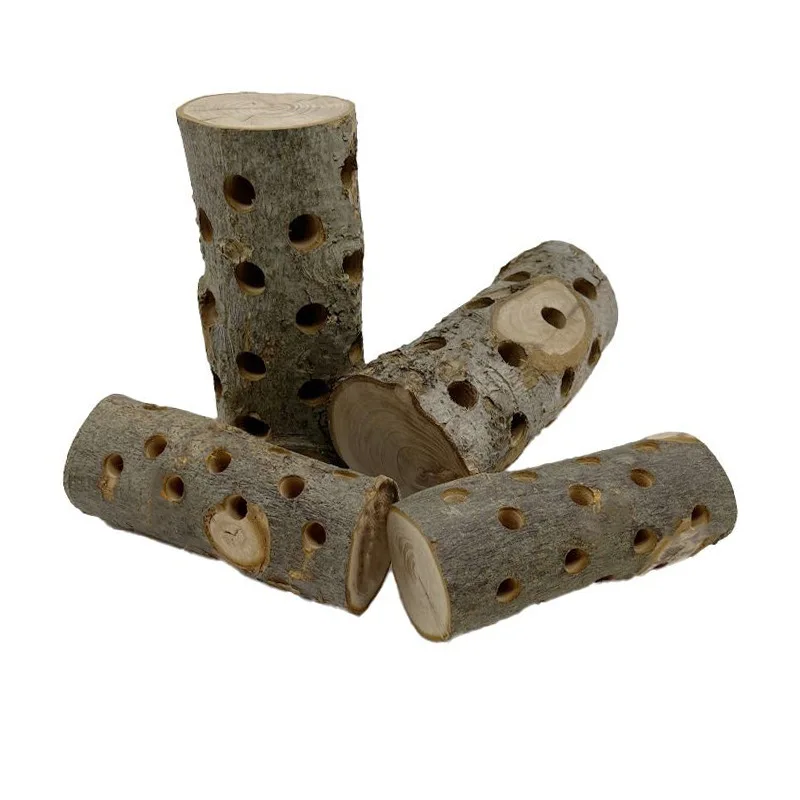 Palo Molar de Animal PEQUEÑO, conejo, Totoro, jaula antimordida, madera de manzana, loro, pájaro, juguete para morder, soporte de madera, palo de estación - imagen 4