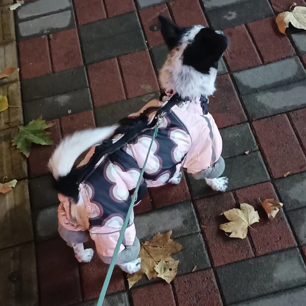 Mono invierno grueso reflectante para perro pequeños Chihuahua Shih Tzu - imagen 4