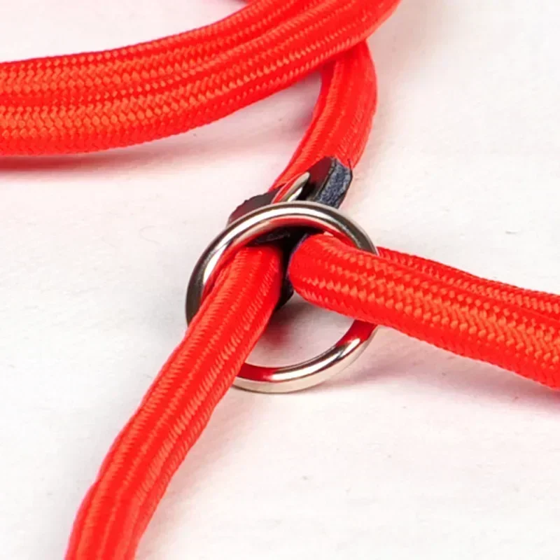 Correa nylon con cadena de tracción para perros grandes y pequeños - imagen 5