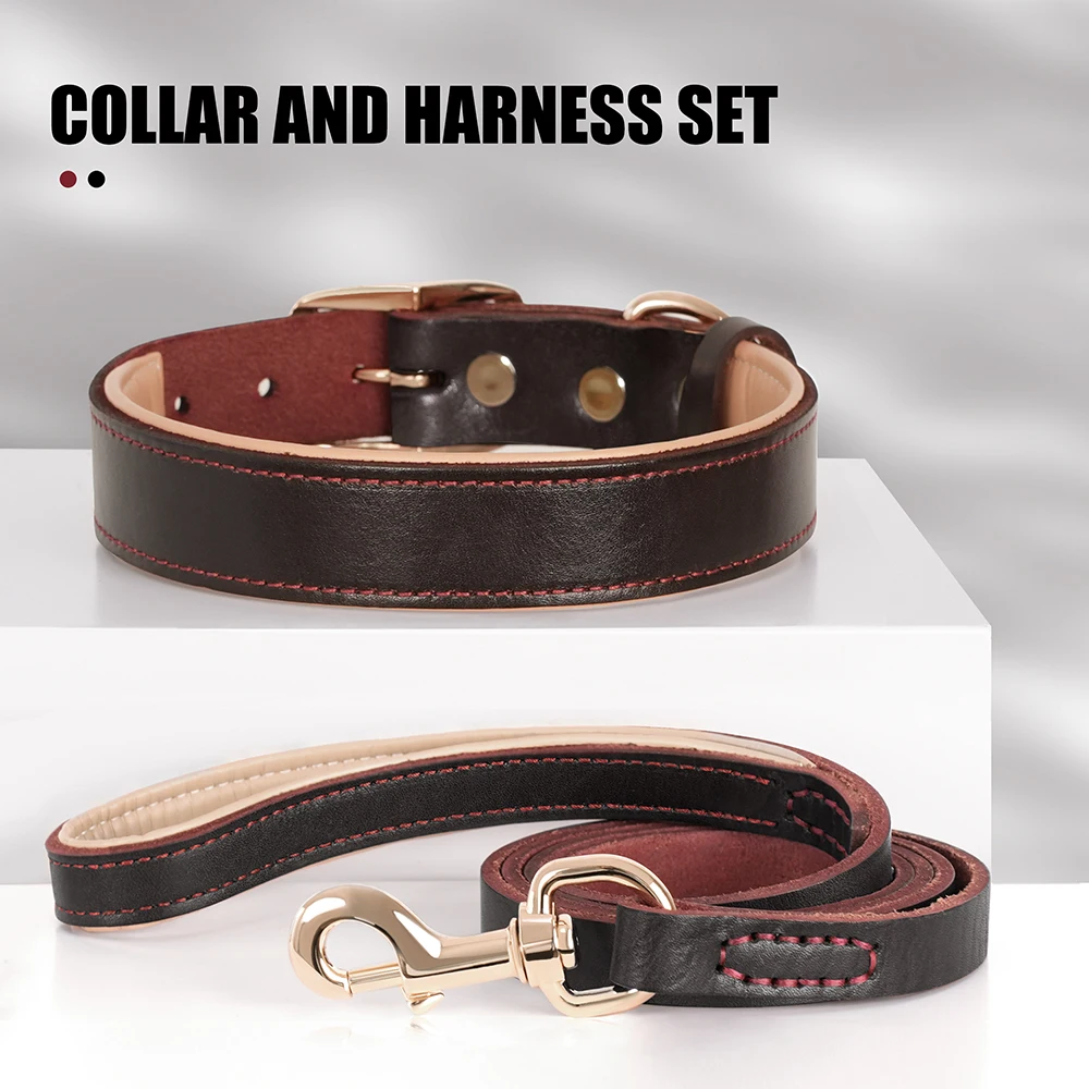 Juego de Collar y correa de cuero auténtico para perros, collares de cuero ajustables, cinturón de plomo para perros pequeños, medianos y grandes, duraderos - imagen 2