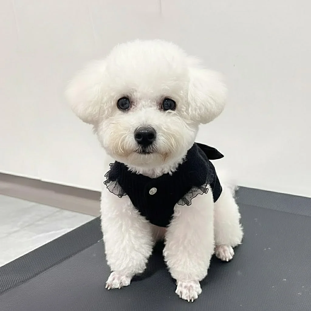 Sueter con capucha para gatos y perros pequenos - oso suave y comodo - imagen 5
