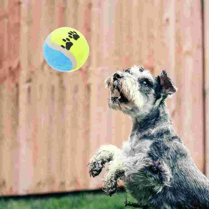 Lanzador de tenis para perros, pelota especial de 5cm, máquina de lanzamiento de tenis profesional elástica para perros, juguete portátil solo la pelota sin máquina - imagen 3