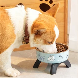 Comedero elevado inoxidable antideslizante para gatos y perros pequeños