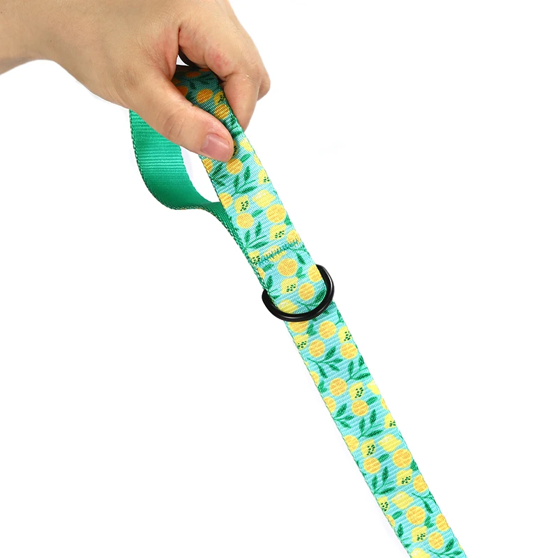PLATTCO personalizado LEMON TEASE ajustable suave nylon collar de perro juego de correa duradero personalizado para pequeño mediano grande PDC329 - imagen 4