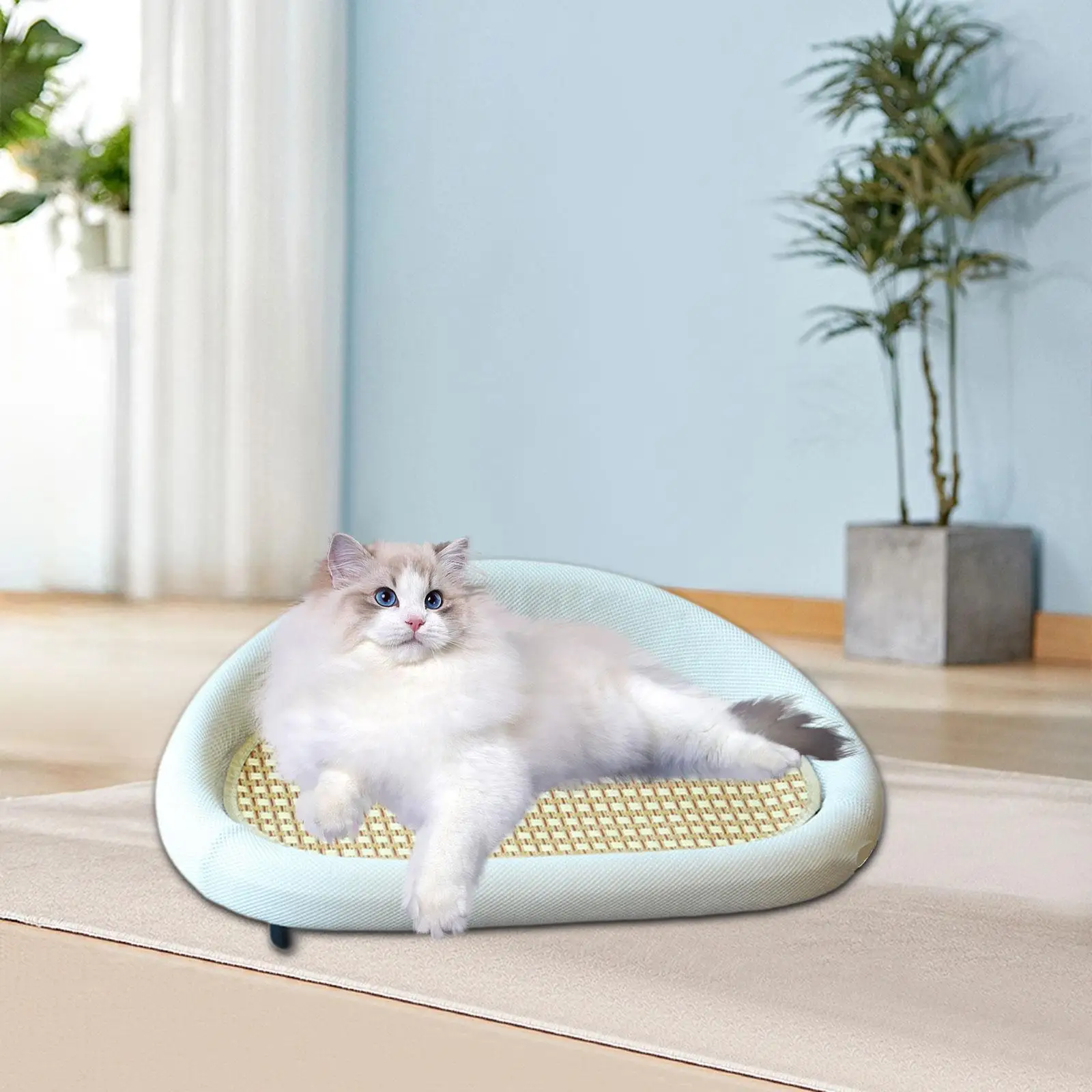 Cat Scratching Board Bed Couch with Raised Edge Comfortable Anti Slip Feet
