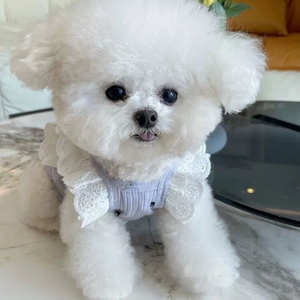 Mono para mascotas, traje de protección del vientre con mangas voladoras de encaje para primavera, oso de peluche, traje de aire acondicionado para perros y gatos, ropa para cachorros - imagen 3