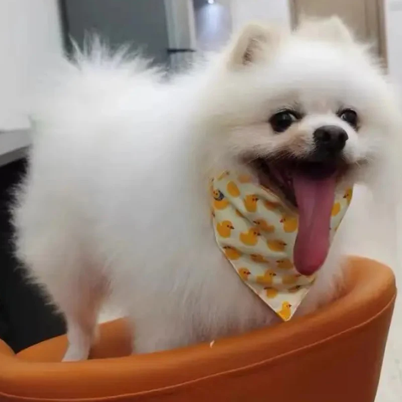 Bandana de algodón para mascotas para perros y gatos, bufanda de vendaje Triangular fina de verano para perros, Baberos Golden Retriever, accesorios de aseo para mascotas - imagen 4