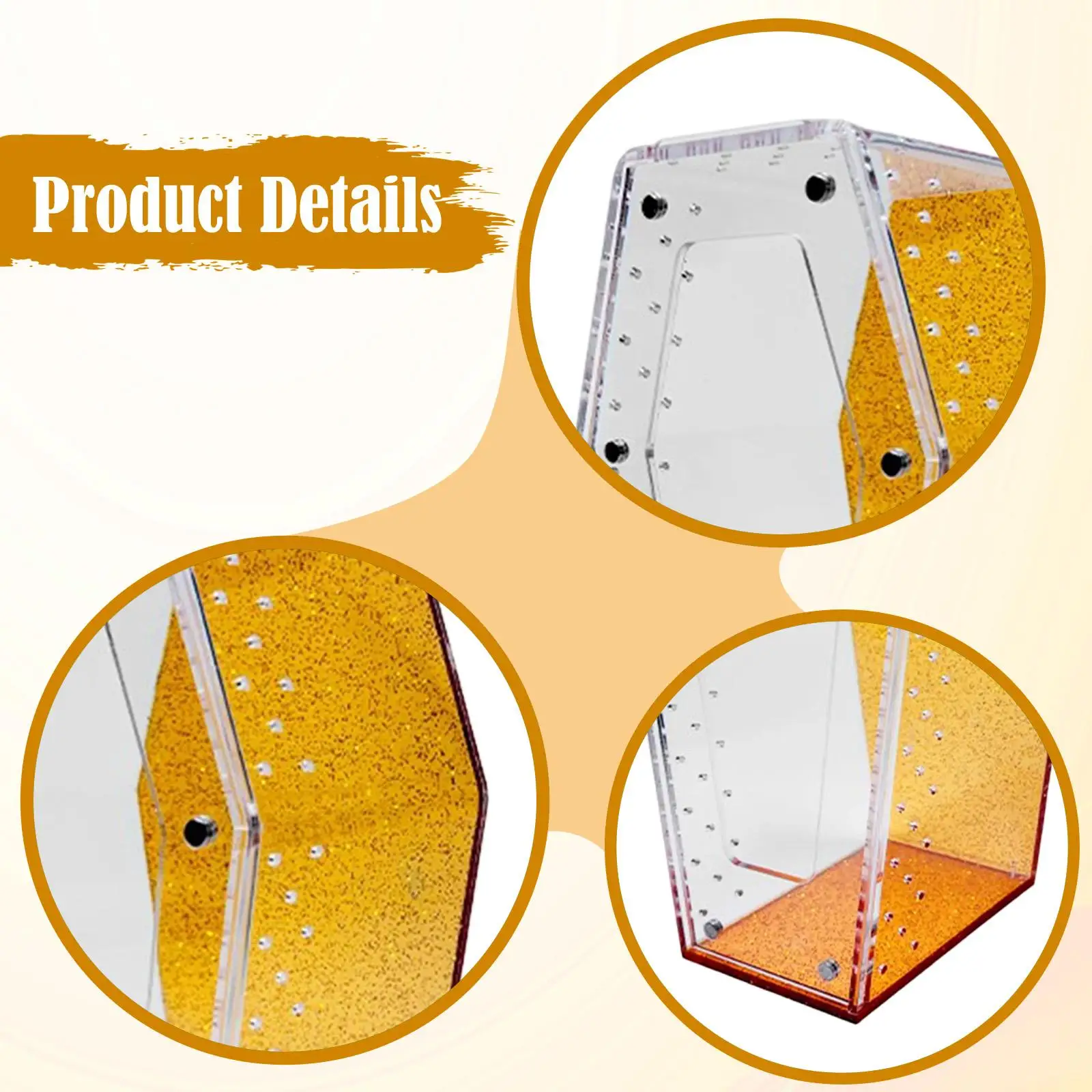 Vivarium con recinto de araña saltadora, terrario acrílico para reptiles, para cría, oración, cangrejo ermitaño en casa, Animal terrestre o arboreal - imagen 5