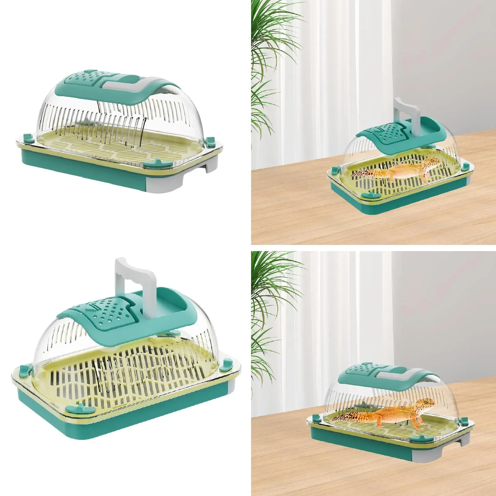 Reptile Terrarium Portable Sturdy Habitat Cage for Terrapin Tortoise